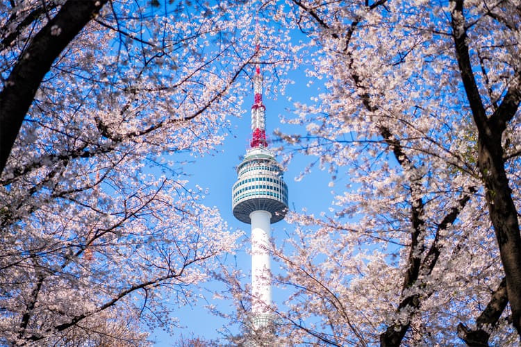 Liburan ke Korea Selatan Udah Nggak Perlu Tes PCR