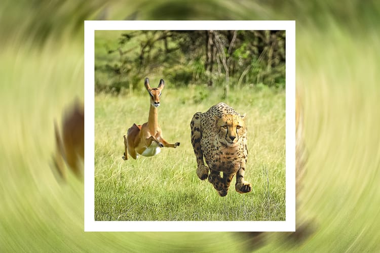 Thundercat dan Tame Impala Collab lewat Single, 'No More Lies'